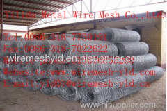 Hexagonal wire netting
