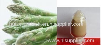 Asparagus polysaccharide Asparagus extract