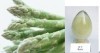 Asparagus Rutin