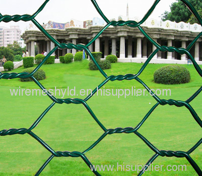 PVC Coated hexagonal Wire Mesh Netting