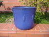 Flowers pot