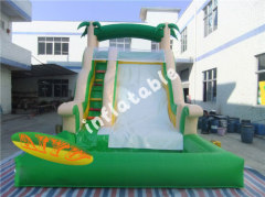 IS-25 tropical water slide