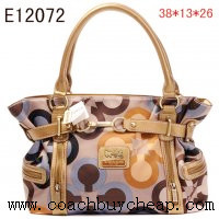 Brand Coach Handbags