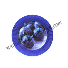 Blueberry Paper Plates