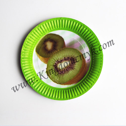 Kiwi Picture Disposable Plates