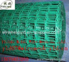 holland wire mesh