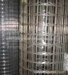 holland wire mesh