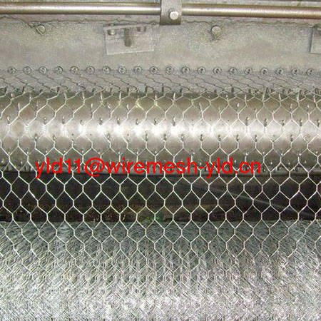 Hexagonal Wire Nettings