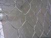 PVC Coated Chicken Wire Mesh