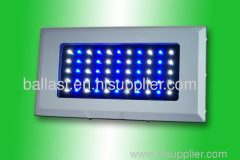 55X3W LED Grow Lights