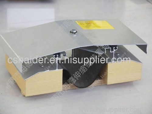 Ceiling Expansion Joint
