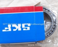 Double row cylindrical roller bearing