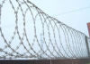 Flat Razor Wire