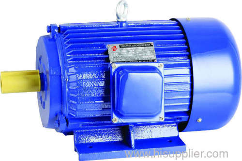 Y SERIES THREE PHASE INDUCTION MOTOR