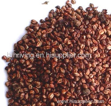 Grape seed Extract Polyphenol Oligomeric Proanthocyanidins