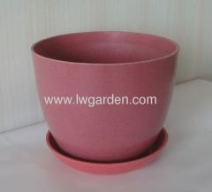 Beautiful small flower pot