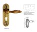 Door Lock Plate Champagne Colour