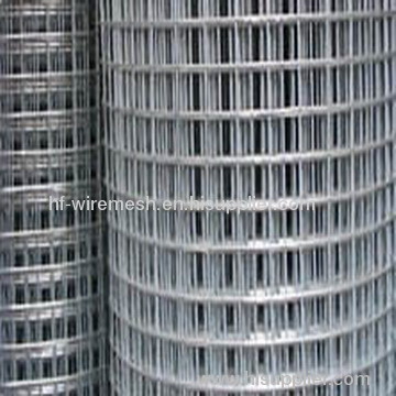 coild galvanized welded wire mesh