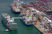Ocean freight LCL Shenzhen to Tokushima 