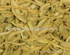 HoneySuchle Flowers Extract