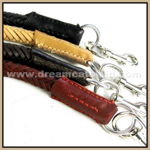 Multicolor Pet Collar & Leash