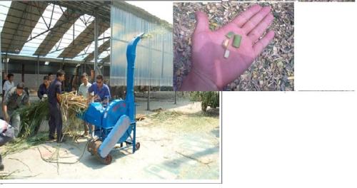 grass corn cutting machine