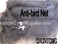 anti-bird net