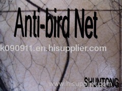China bird net supplier/manufacture