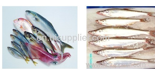 fish bone remover 0086-15890067264