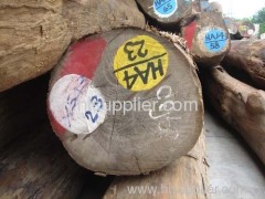 Burma teak wood for furniture