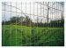 Euro Fence