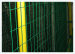 Euro Fence