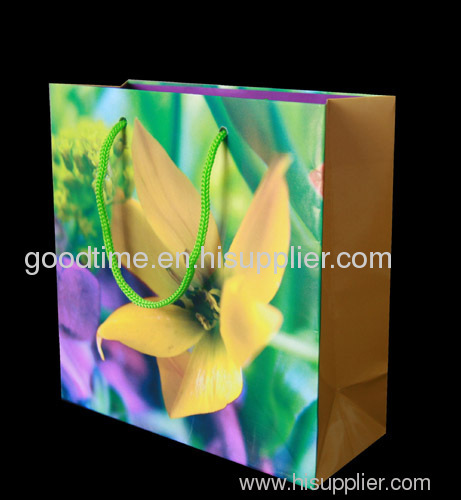 flower gift bag