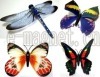 Dragonfly Fridge Magnet & Butterfly Fridge Magnet