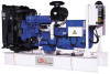 Perkins Diesel Generator Set