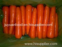 2011 fresh carrots