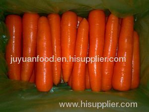 2011 fresh carrots