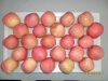 shandong fresh fuji red apples
