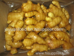 fresh ginger of carton, pvc or mesh bag