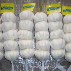 2011 new fresh pure white garlic