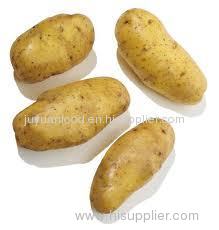 2011 new crop fresh potatoes