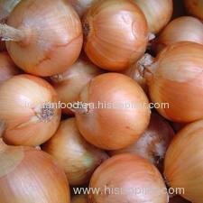 2011 new crop fresh yellow onion