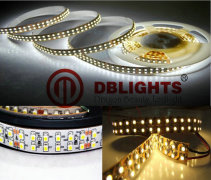 Dragon Beauty led LTD