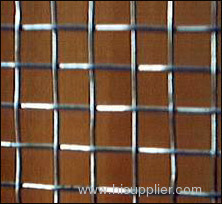 Galvanized Square Wire Mesh