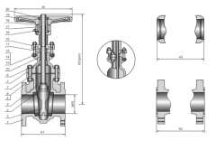 Cast Steel Gate Valve