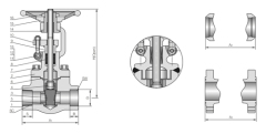 Compact Steel Gate Valve