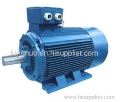 Y2 Electric Motor