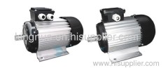 YS Series Electric Motor