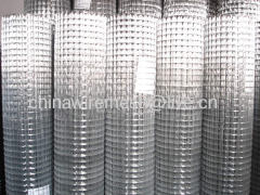 welded mesh(factory)