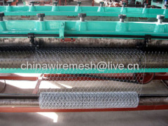 hexagonal wire netting(factory)